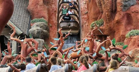 Disneyland Rider Seemingly Jumps out of Splash Mountain Boat Mid-Ride