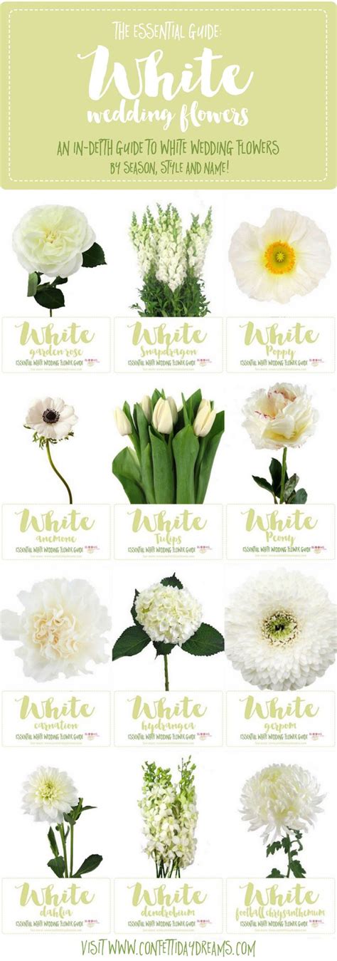 White Wedding Flowers Types | Wallpaper Site