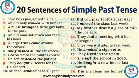 20 Sentences in Simple Past Tense - English Study Here