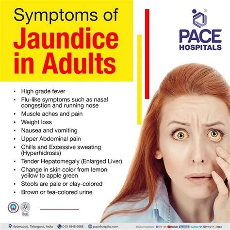 Jaundice In Adults