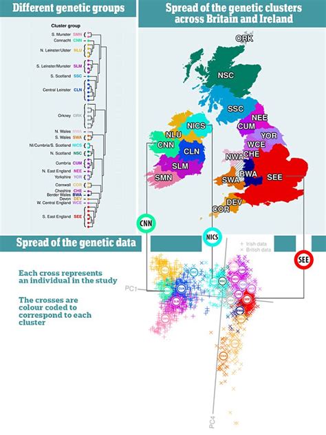 DNA map of Ireland reveals the Irish have Viking and Norman ancestry ...