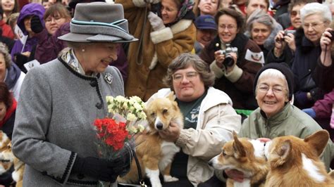 Queen Elizabeth leaves behind at least 4 dogs, what happens to them? : NPR