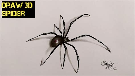 Realistic Spider Drawing