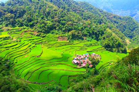 Bangaan Rice Terraces: A UNESCO World Heritage Site in Ifugao - Jon to ...