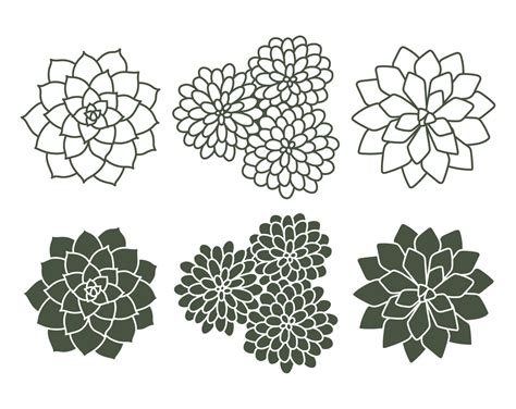 Succulent SVG, EPS, PNG Download, Succulents, Plant Svg, Succulent ...