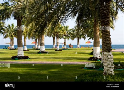 Mesaieed Qatar