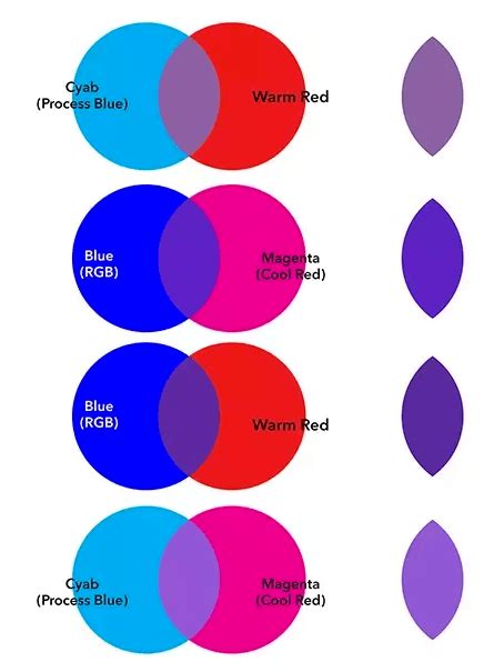 What Colors Make Purple? What Two Colors Make Purple