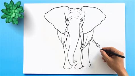 How To Draw An Elephant For Kids Step By Step