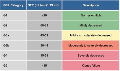 Kidney function Creatinine range