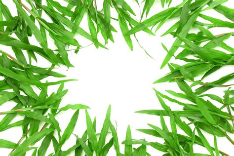 Grass Circle Stock Photos, Images and Backgrounds for Free Download