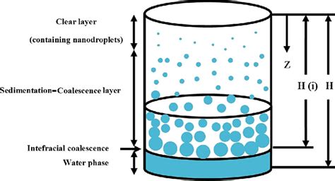 Schematic diagram of a sedimentation process under gravity for a ...