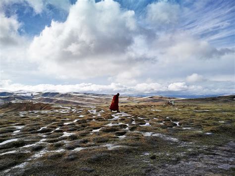 An Enlightenment Path | Smithsonian Photo Contest | Smithsonian Magazine