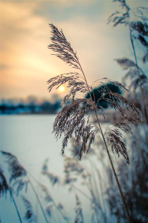 ~ ڿڰۣ Soft Blue and Beige This would look great outside my room window ...