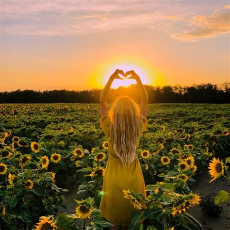 Woman in a sunflower field | Flower photoshoot, Sunflower photography ...