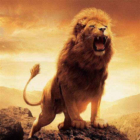 Roaring Lion Pictures