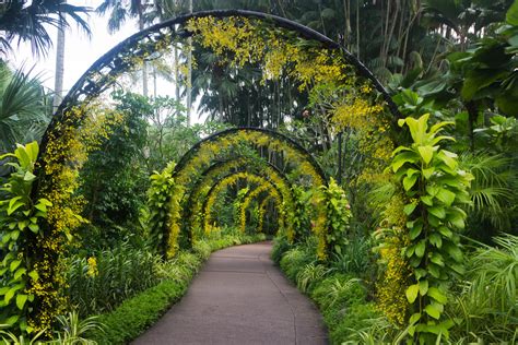 At Singapore Botanic Gardens | At Singapore Botanic Gardens | Flickr