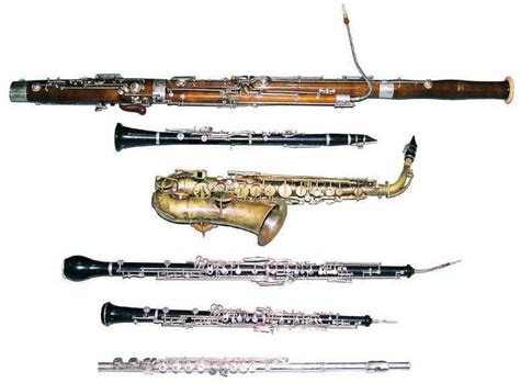 Learning Musical Instrument: Woodwind Family