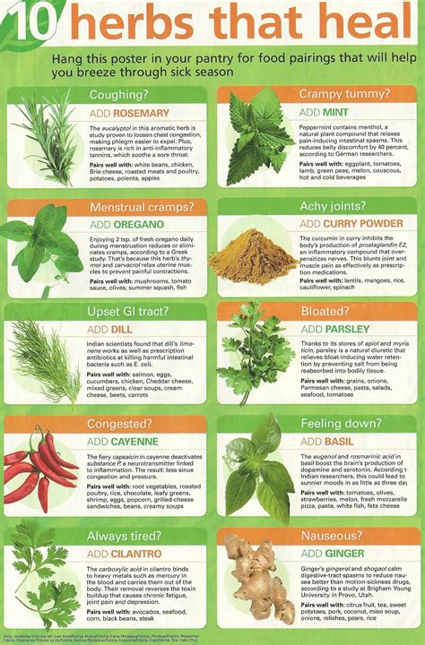 10 herbs that heal >> http://www.januarysunshine.blogspot.com/2011/10 ...