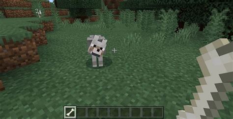 How to Tame a Dog in Minecraft