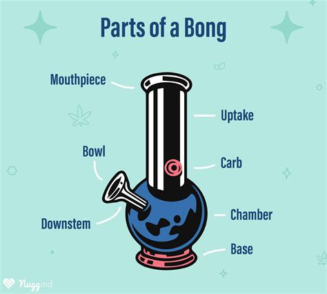 How to Use a Bong for the First Time | NuggMD