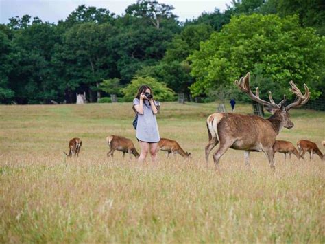 How to get to Richmond Park - easy instructions so you don't get lost