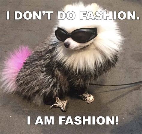 Fashion Mishaps That Turned into Memes - FashionWindows