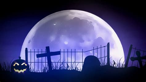 Spooky Halloween Night Scene Stock Motion Graphics SBV-300208922 ...