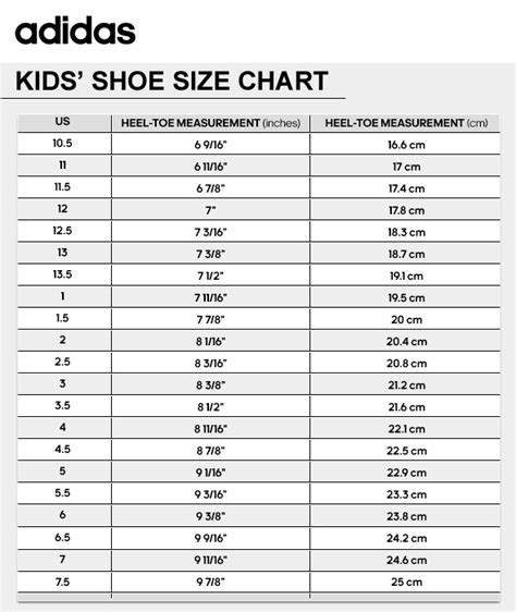 ornement demain secondaire adidas youth shoe size chart to women's ...