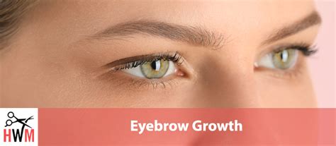 Eyebrow Growth: Everything You Need to Know for Faster Growth - Hair ...