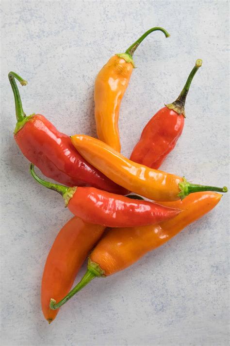 Chili Pepper Types - A List of Chili Peppers and their Heat Levels ...