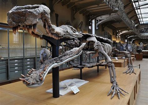 Sarcosuchus Imperator, the Super Croc. | Dinosaurs and other ancient ...