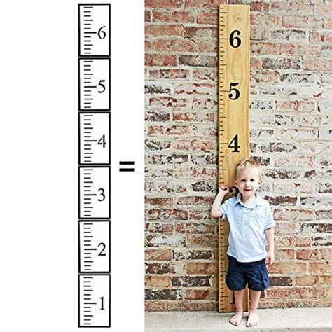 Buy 6 Pack 6 Feet Growth Chart Ruler Stencil Template for Painting on ...