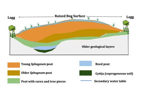 3: Structural layers of the bog and their compositions (Source: The ...