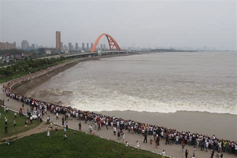 Qiantang River Tidal Bore in China 2024 - Rove.me