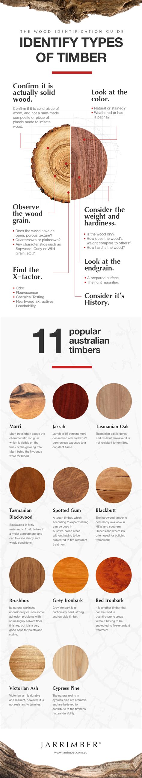 The Wood Identification Guide for the Types of Timber