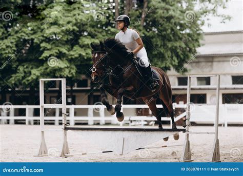 Overcoming Obstacles. Beautiful Graceful Horse Jumping Over the Barrier ...