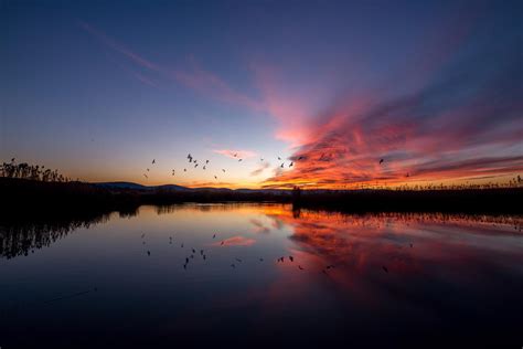 Ein ganz chilliger Rosettenfick beim Sonnenuntergang – Telegraph