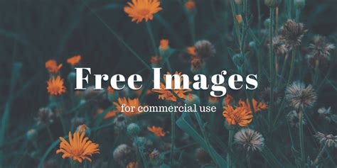 Where to Get Free Images for Commercial Use (11 Sites)