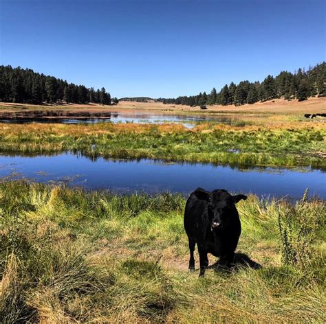 Cleveland National Forest is hiker's heaven near San Diego | Travel ...