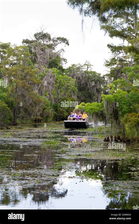 LA, Lafitte, Airboat swamp tour Stock Photo - Alamy