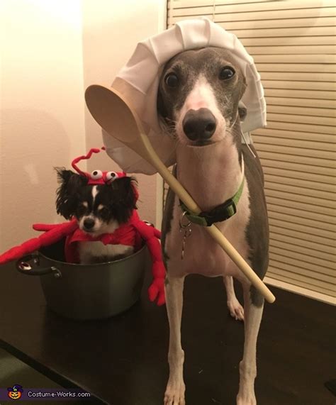 Lobster Dinner Dogs Costume | No-Sew DIY Costumes