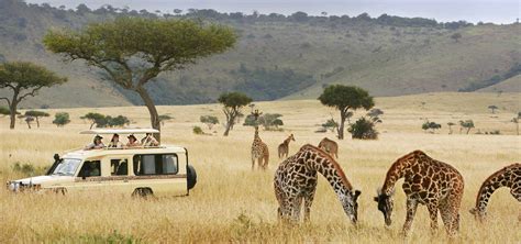 9 days Kenya Wildlife and historical sites safari | Kenya Wildlife Safaris