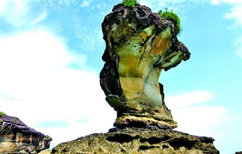 Bako National Park Day Trip (H1) - Paradesa Borneo Reservations