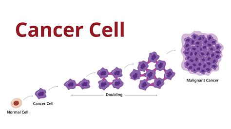 Cancer Cell Types