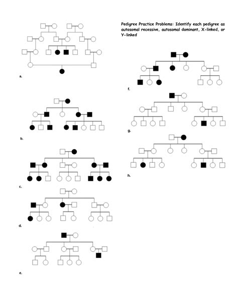 Pedigree Practice Worksheet Answers