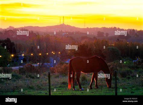 Tandil, Buenos Aires, Argentina Stock Photo - Alamy