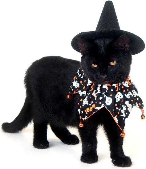 Re: pets & halloween costumes - page 10 - blogs & forums | Pet ...