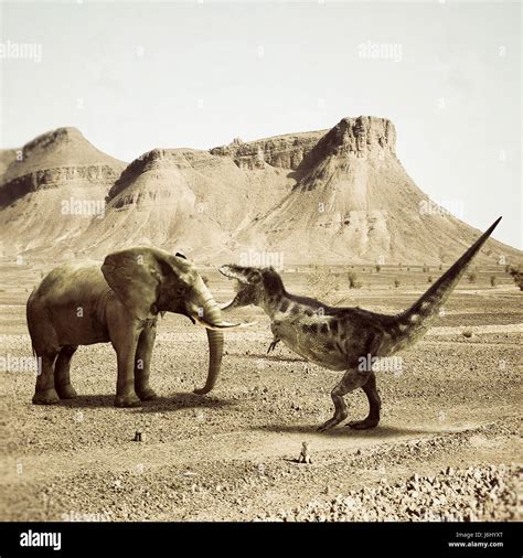 T-rex fighting versus a big elephant in the desert Stock Photo - Alamy