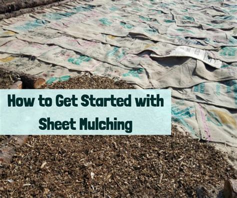 How to Get Started with Sheet Mulching - Growing with Nature