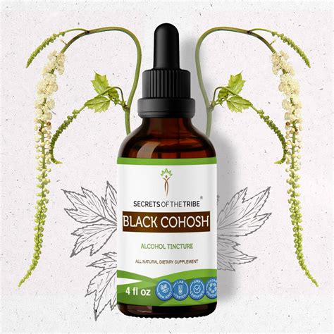 Black Cohosh Tincture Alcohol Extract, Responsibly farmed organic Black ...